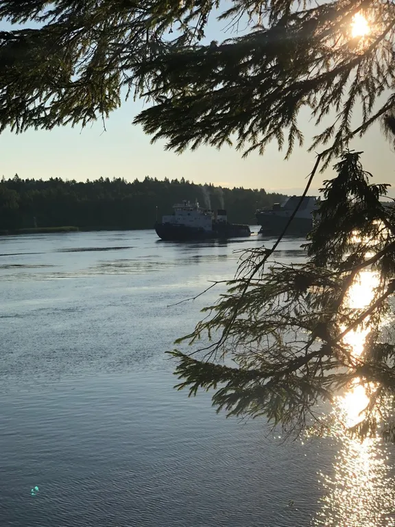 Квартира Комната — Лодейное Поле