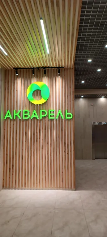 Квартира с видом на лес