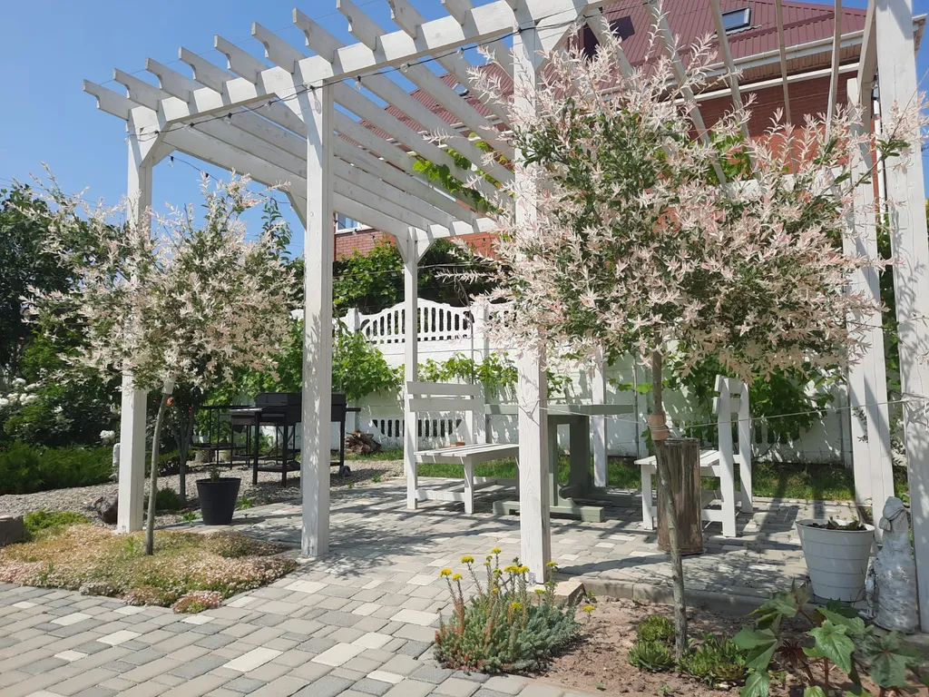 Двухкомнатные апартаменты с собственной террасой и кухней