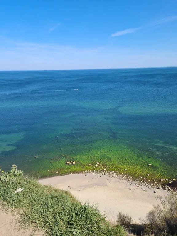 Коттедж Уютный гостевой дом — Лесное