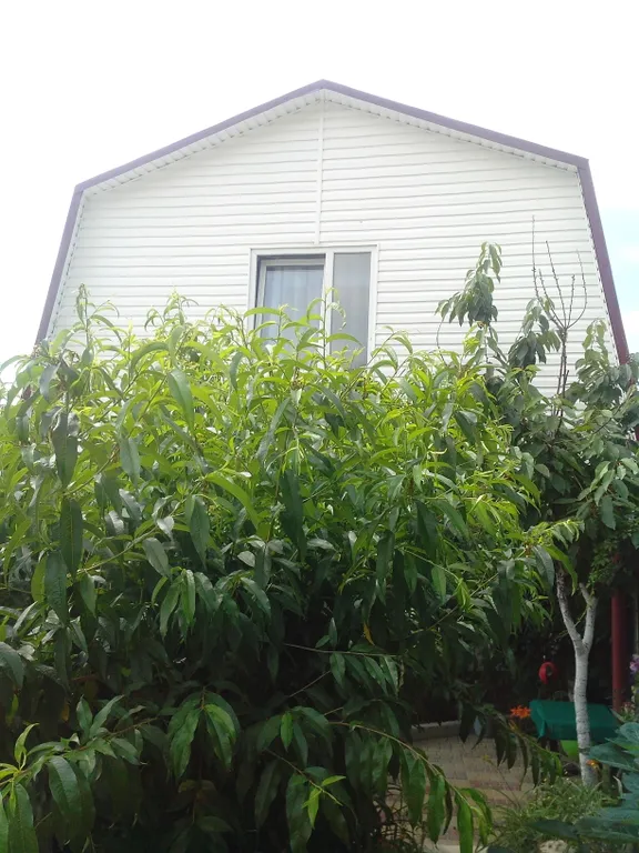 Коттедж у моря