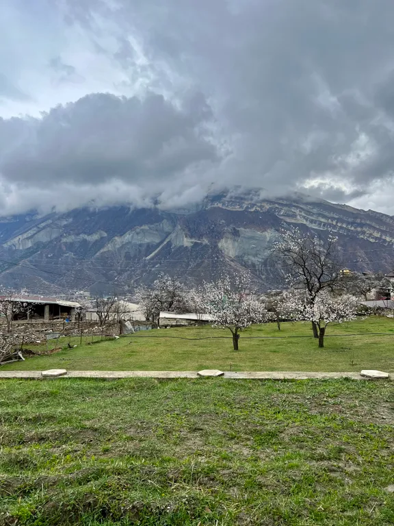 Дом с красивым видом на горы