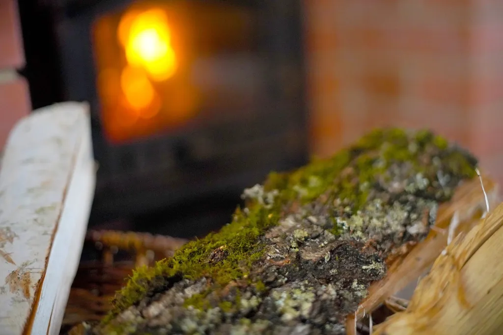 Дом с русской баней