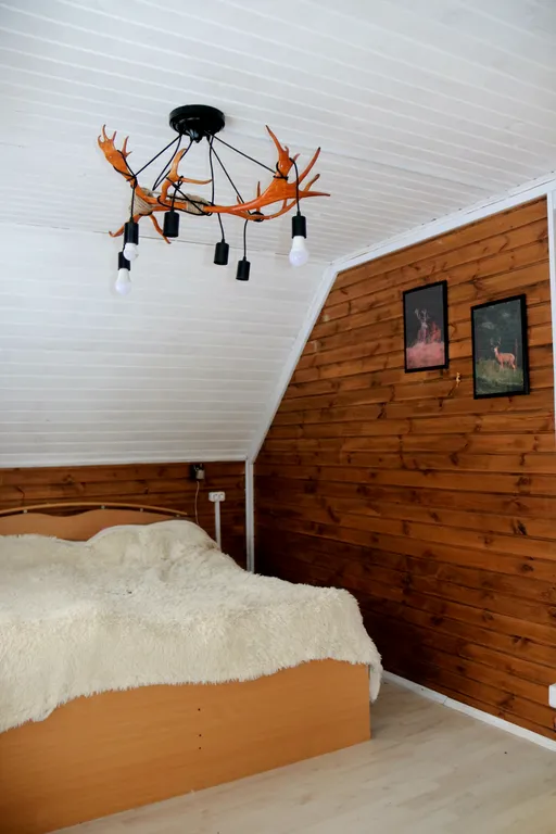 Коттедж на берегу реки с видом на сосновый лес