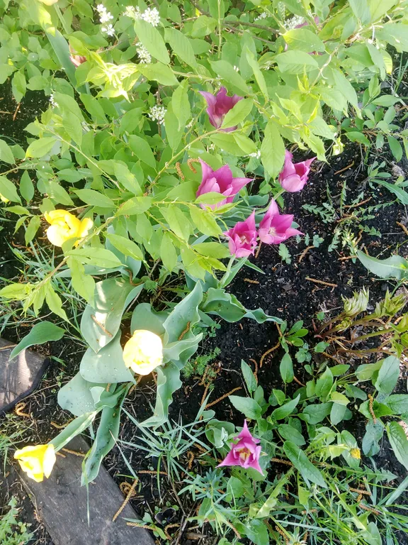 Незабываемый отдых в уютном коттедже на праздники