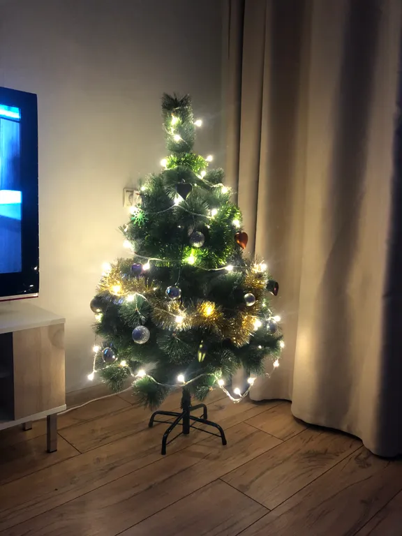 Просторная квартира на исторической улице