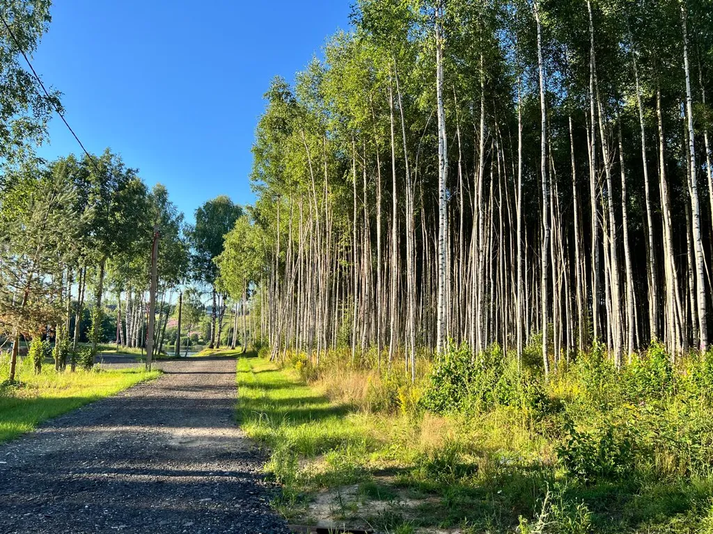 A-Frame с скандинавскими нотками