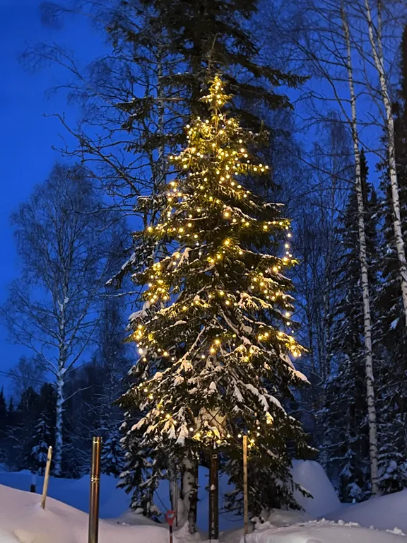 Дом для отдыха Лесной