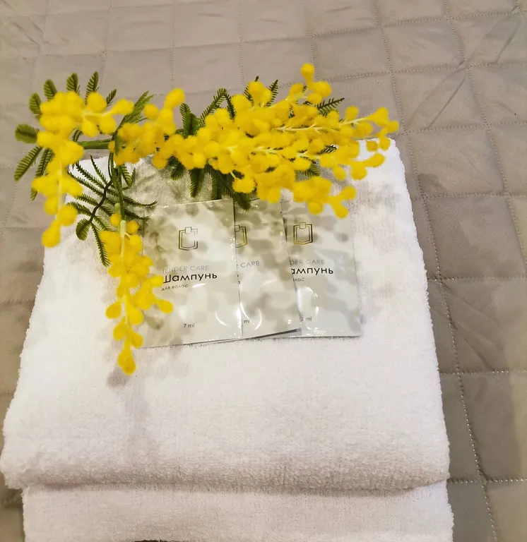 просто шок цена в центре, свободна сейчас