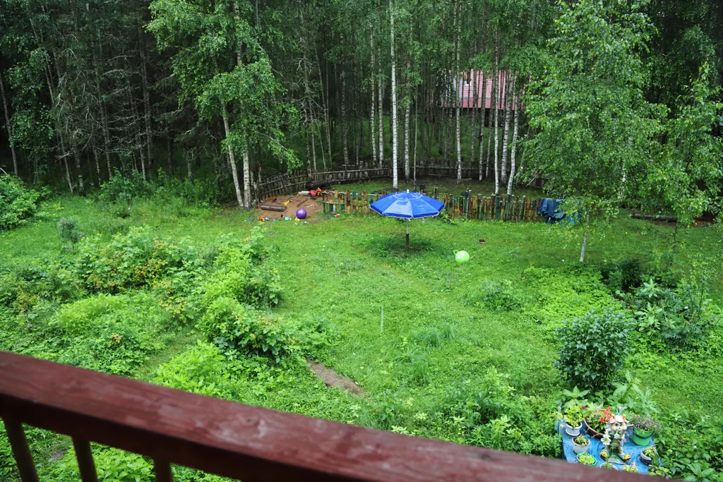 Люкс с камином рядом с рекой Волга в лесу