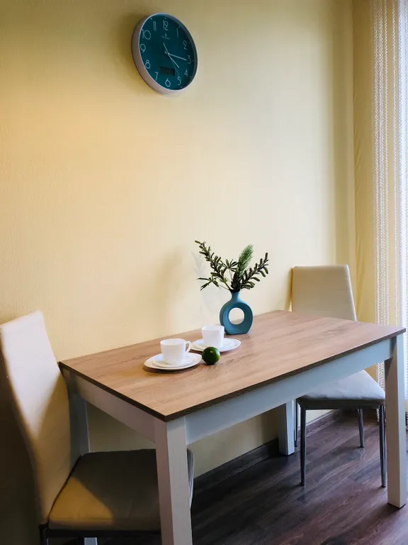 Квартира Апартаменты уютные — Светлогорск