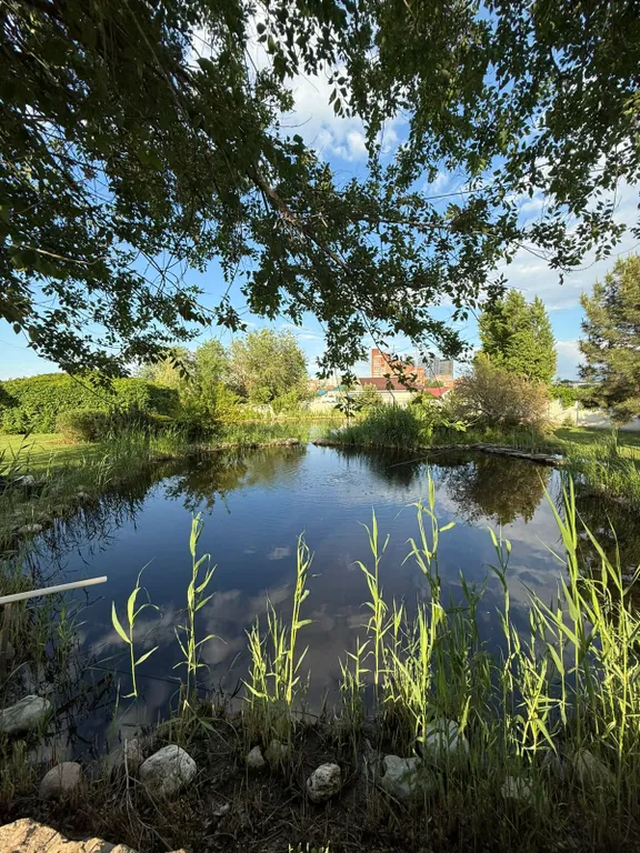 Четырехместный семейный номер с четырьмя кроватями в мансарде