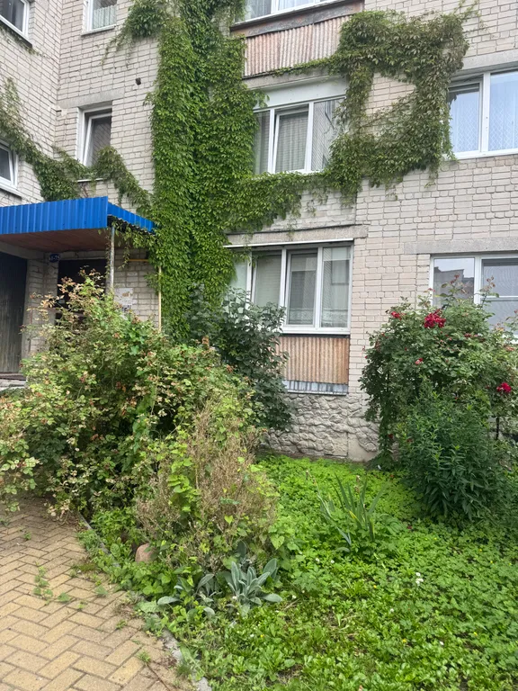 Квартира Квартира в 5 минутах ходьбы от моря и центра города — Зеленоградск