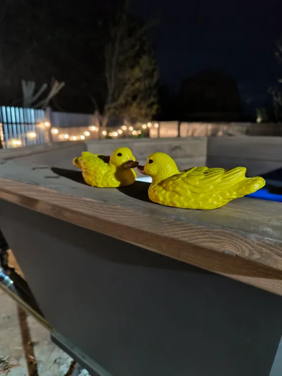 Уютный дом у леса