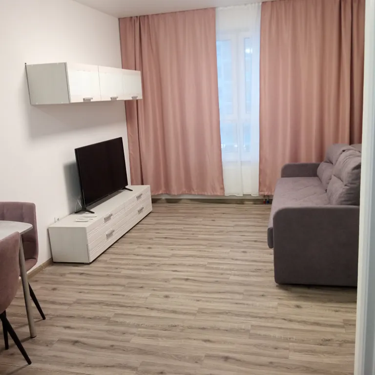 Уютная квартира с видом на Онежское озеро — аренда посуточно в Петрозаводск