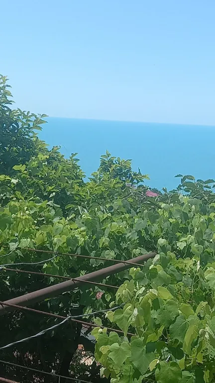 Комната в частным доме с видом в сад