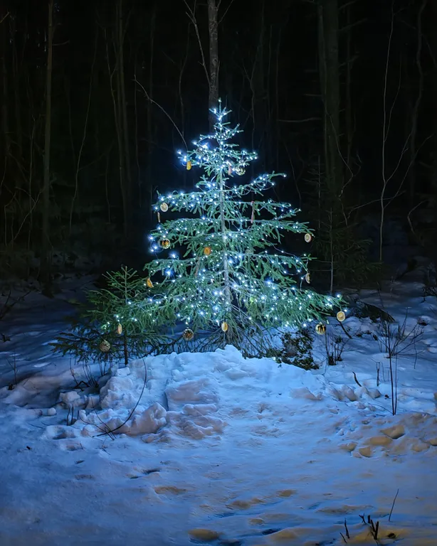 Домик Полесье