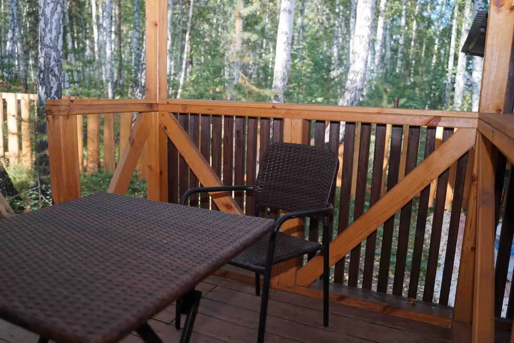 Дом  в березовой роще Заповедный