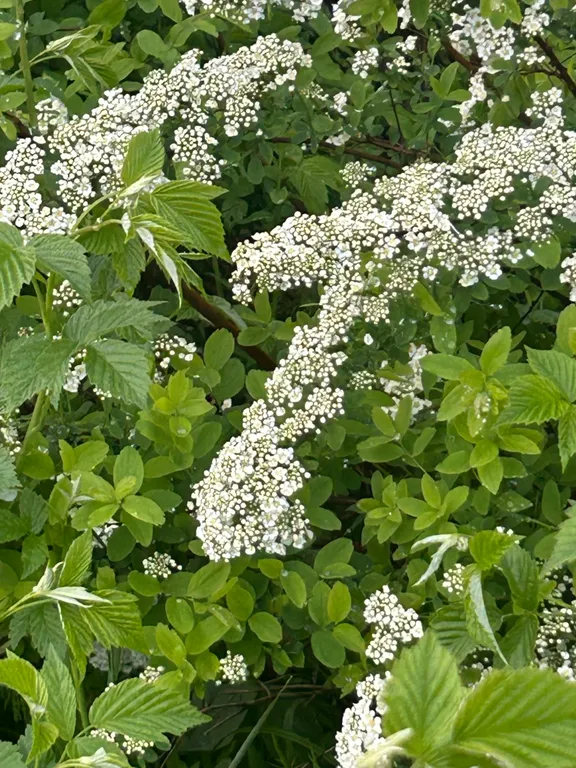 Квартира Модульный домик — Шерегеш