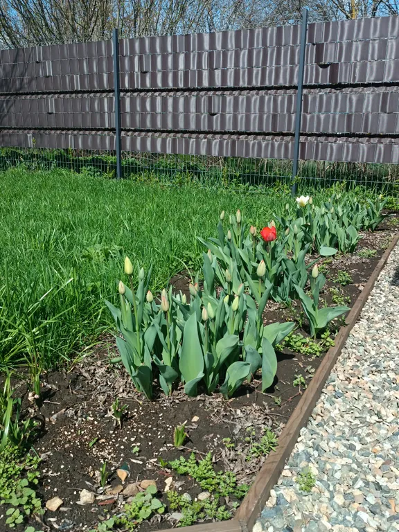 Дом с бассейном