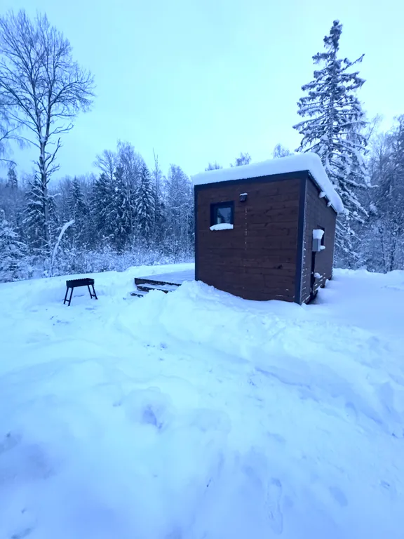 Уютный домик с панорамным окном и видом на лес