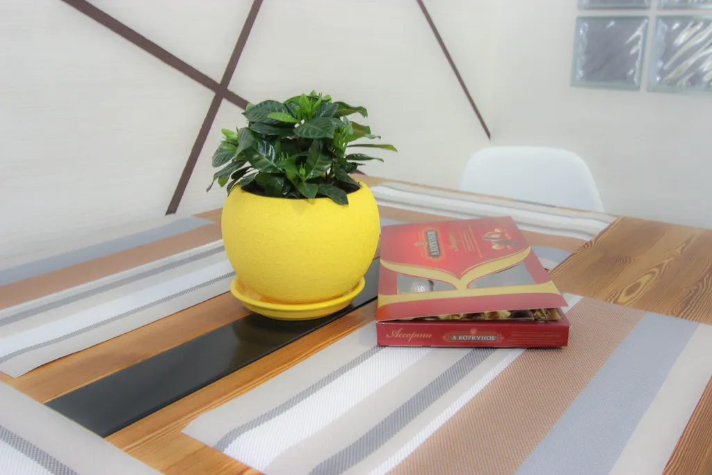 Уютные апартаменты с видом на море