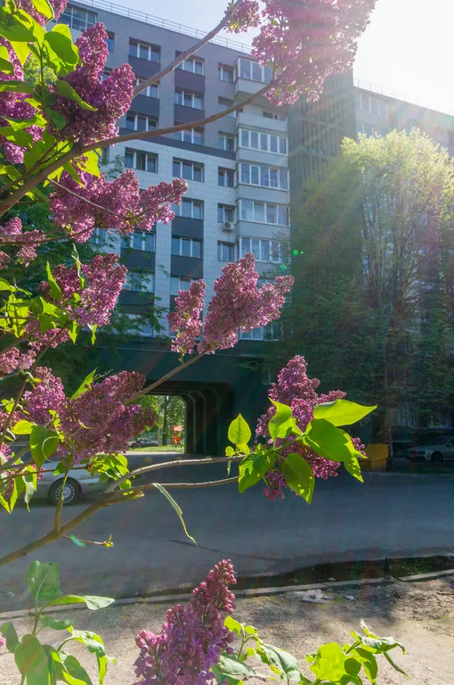 Квартира Квартира в центре города — Калининград