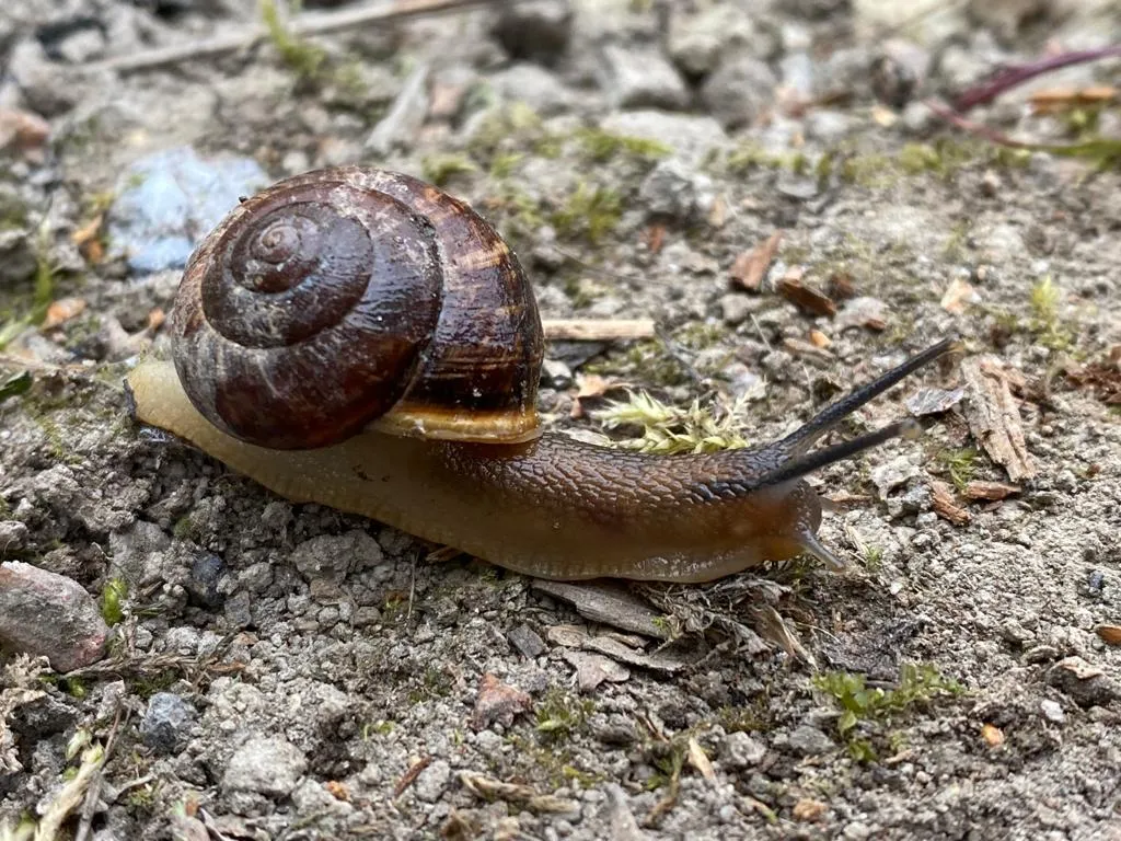 Деревенский дом у озера