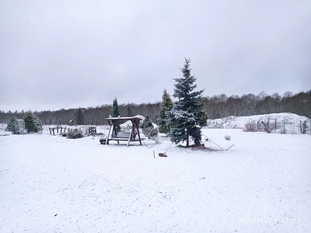 Апартаменты с камином