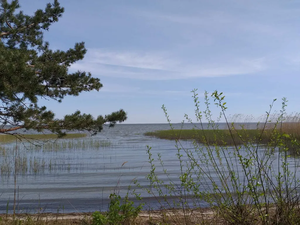 Квартира Двухкомнатная чудная квартира — Светлогорск