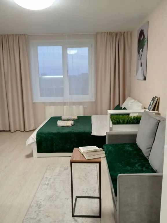 Уютная студия в ЖК Ёлки