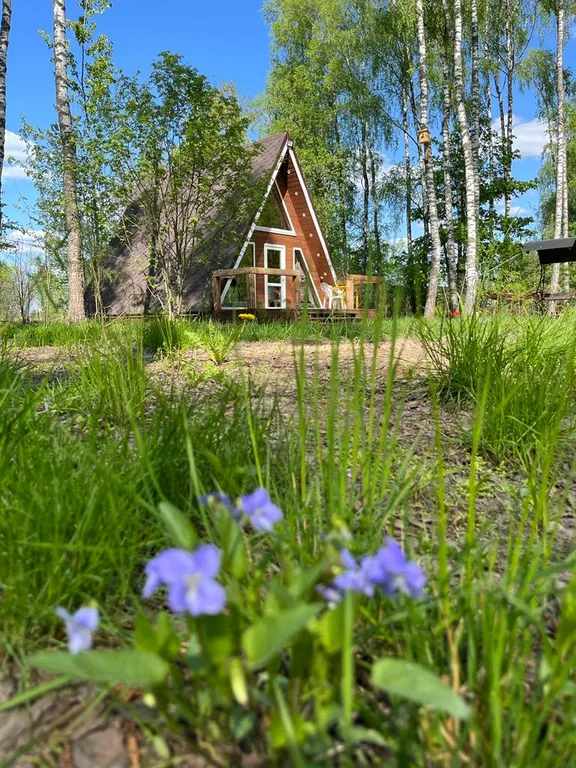 Дом в стиле А-фрейм в Подмосковье