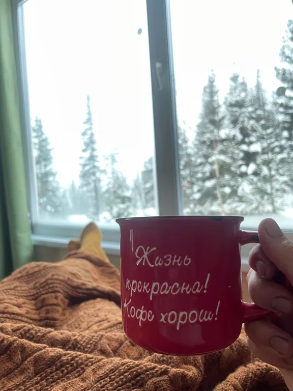 Дом с камином и сауной