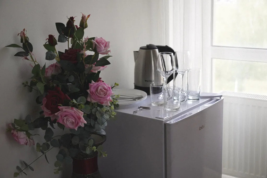 Квартира Квартира Улучшенный люкс с кроватью размера «king-size» — Борисовка