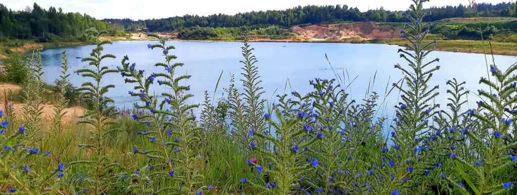 Уютный домик