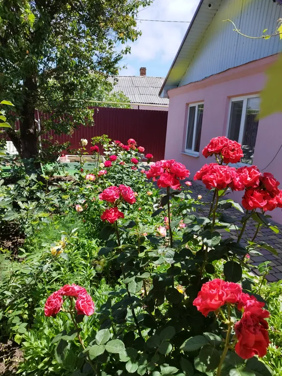 Дом на берегу Черного моря