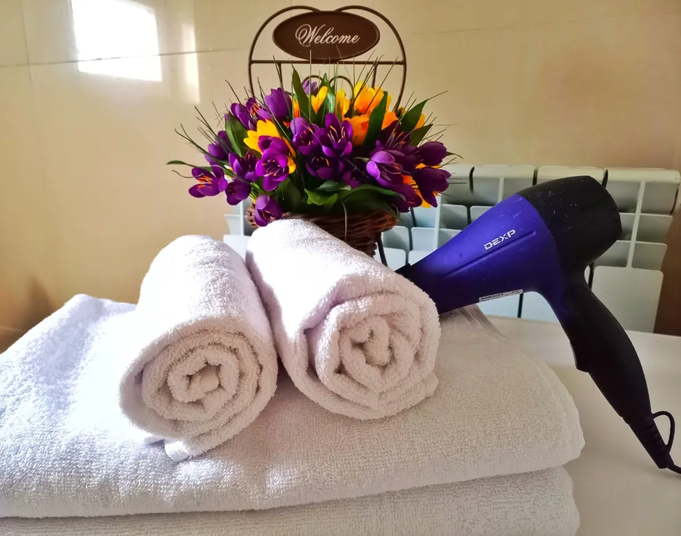 Дом в центре