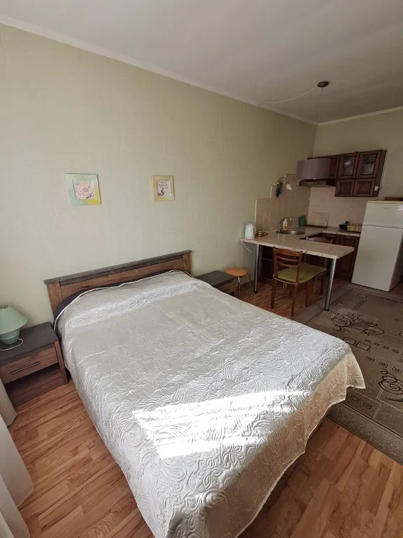 Уютный номер-студия со всеми удобствами в центре