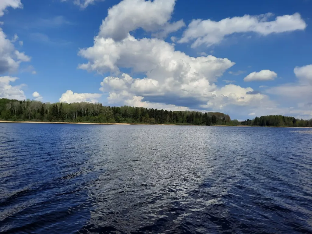 Уютная квартира на Селигере