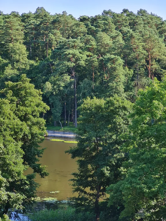 Квартира студия с видом на Озеро тихое и леса