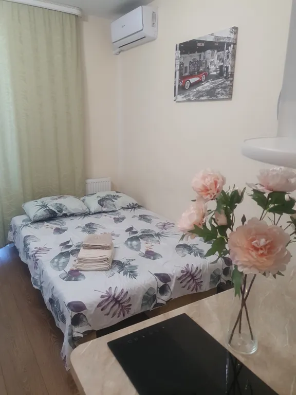 Квартира Видовая, уютная студия напротив Броско Молла — аренда посуточно в Хабаровск