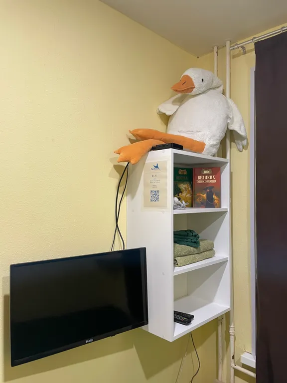 В гостях у гуся