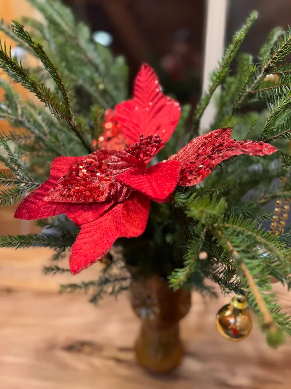 Домик с видом на лес