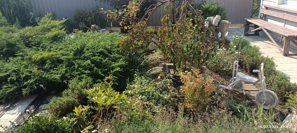 Комната в отдельном домике