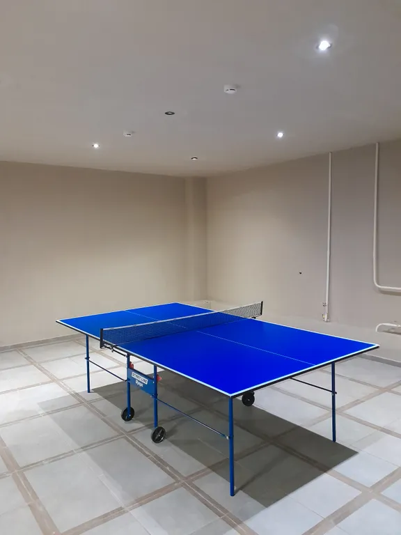 Студия в сосновом бору