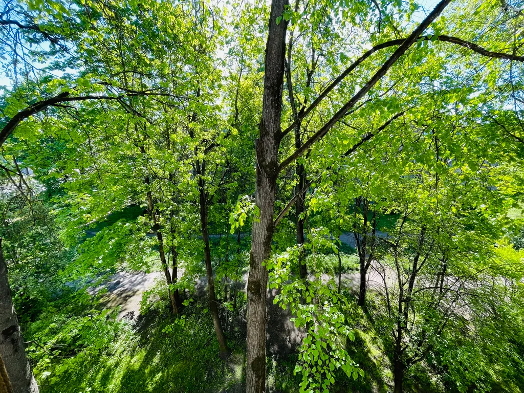 Уютная светлая квартира от собственника