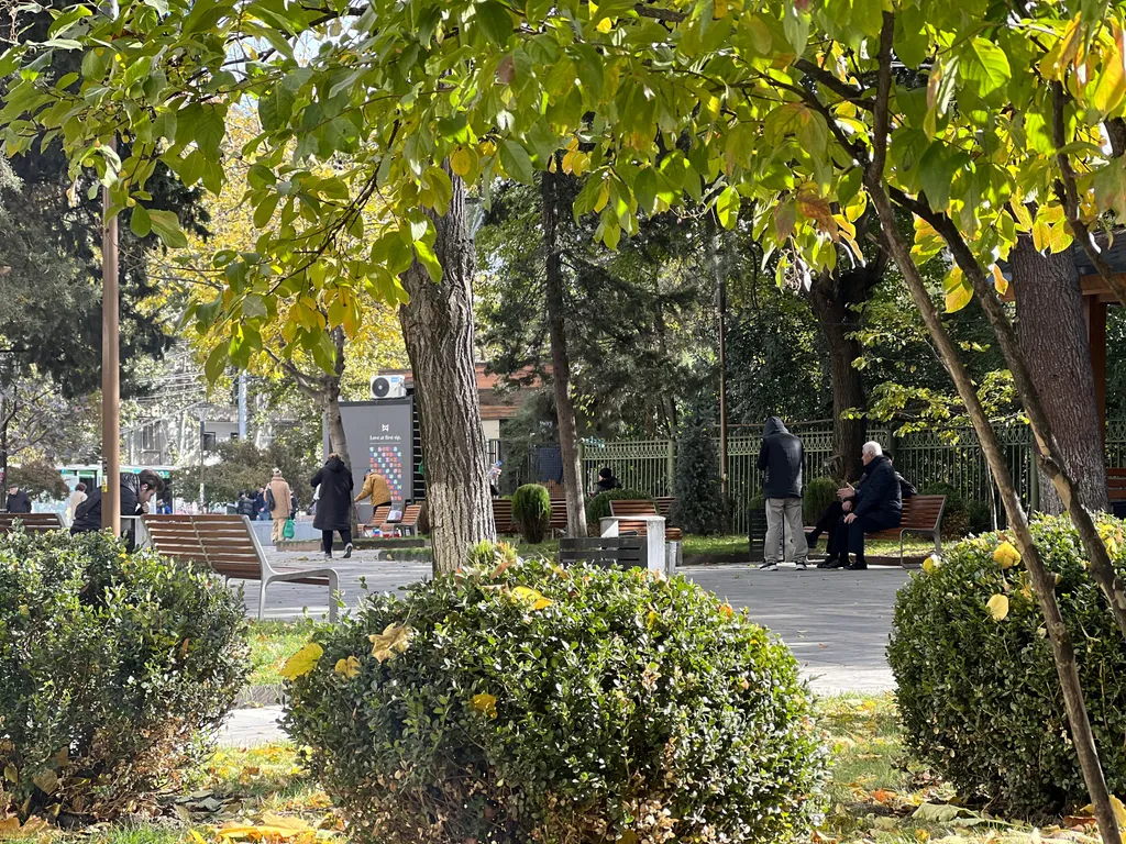 Уютно и стильно в центре города