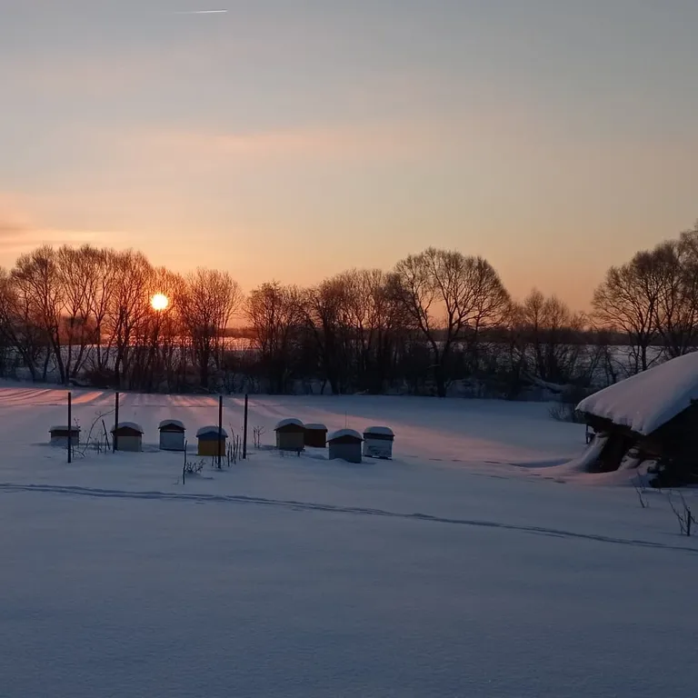 Уютный деревенский дом