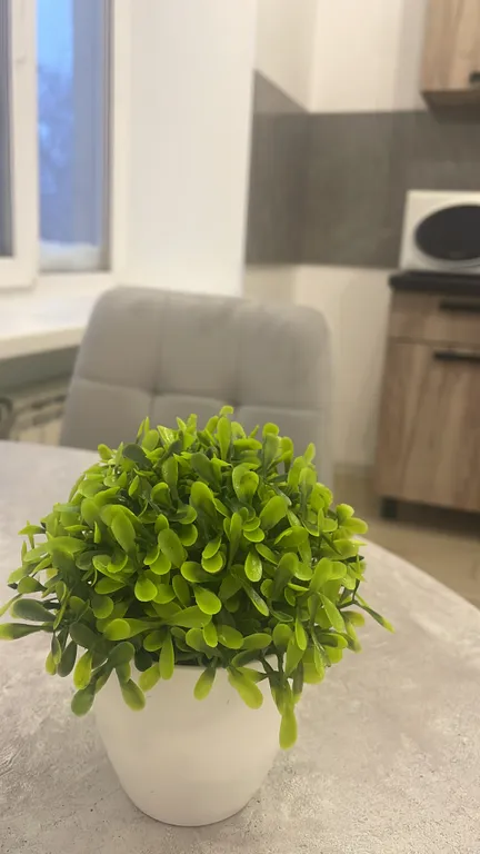 Уютная квартира в самом центре города с самозаселением