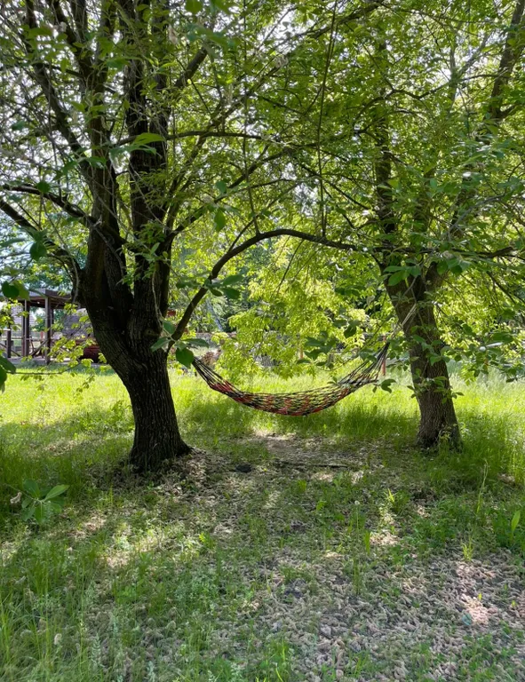 Дома в Болгаре на берегу реки Волга